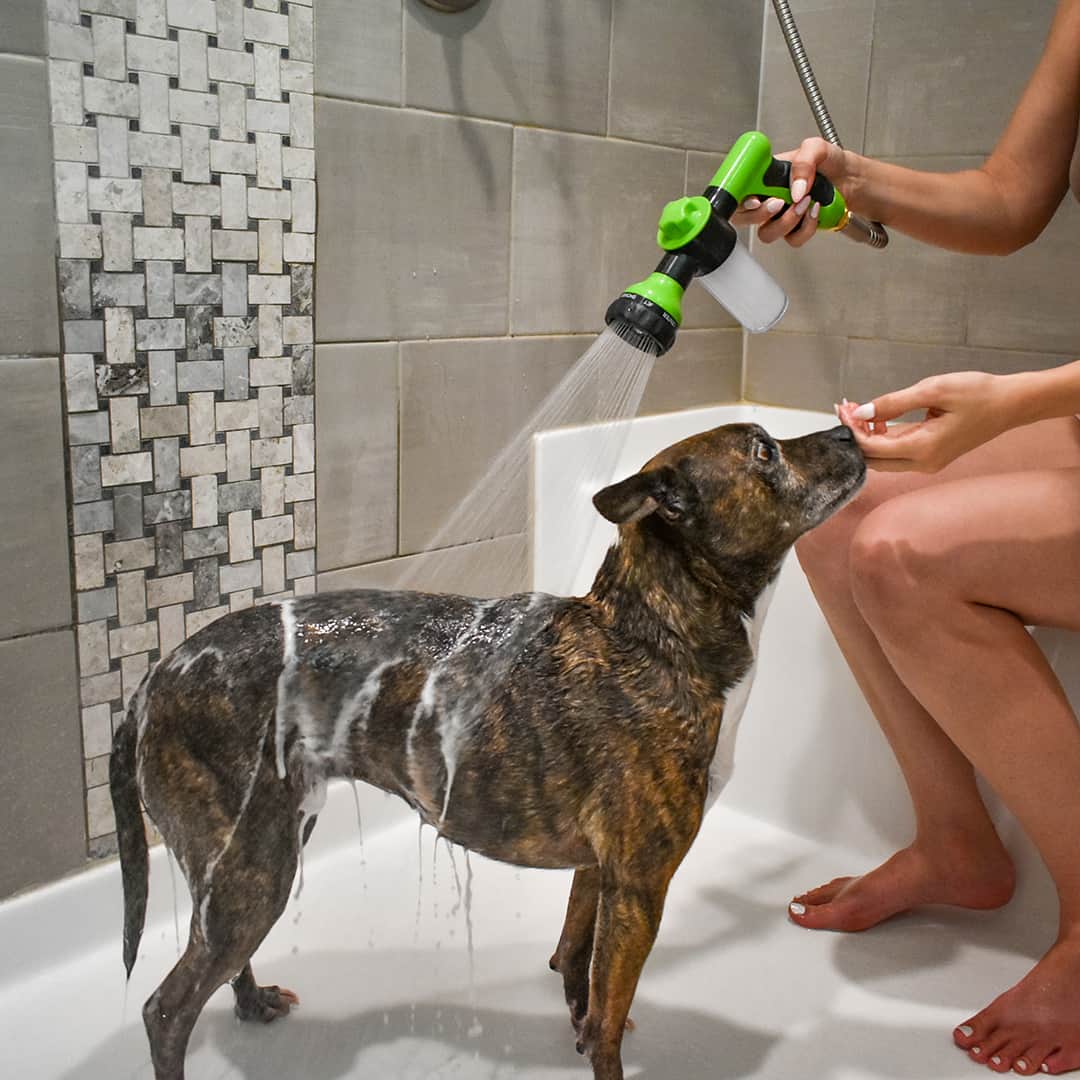 Hundduschspray - WashBuddy