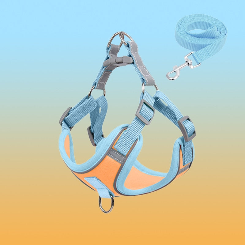 Reflekterande Valpsele - BrightPaw
