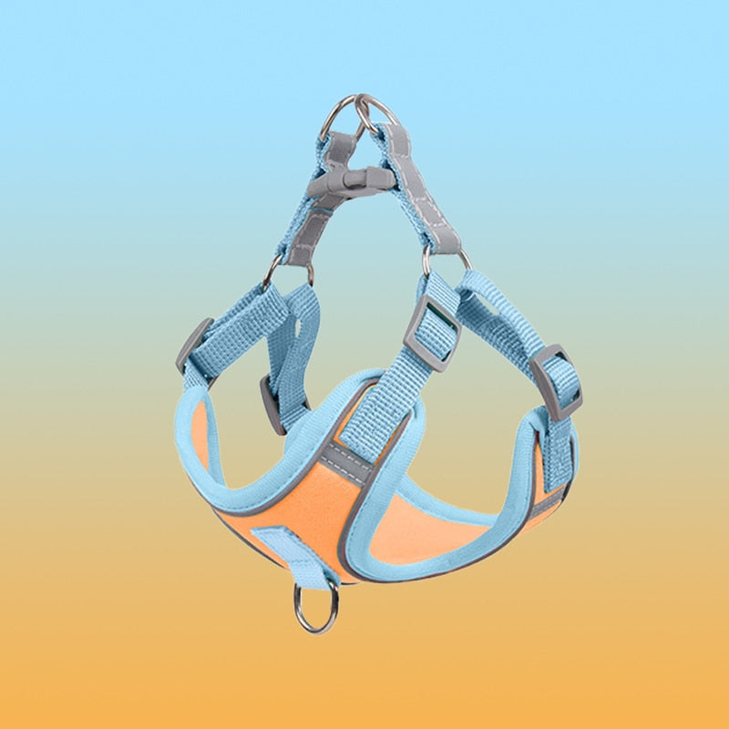 Reflekterande Valpsele - BrightPaw