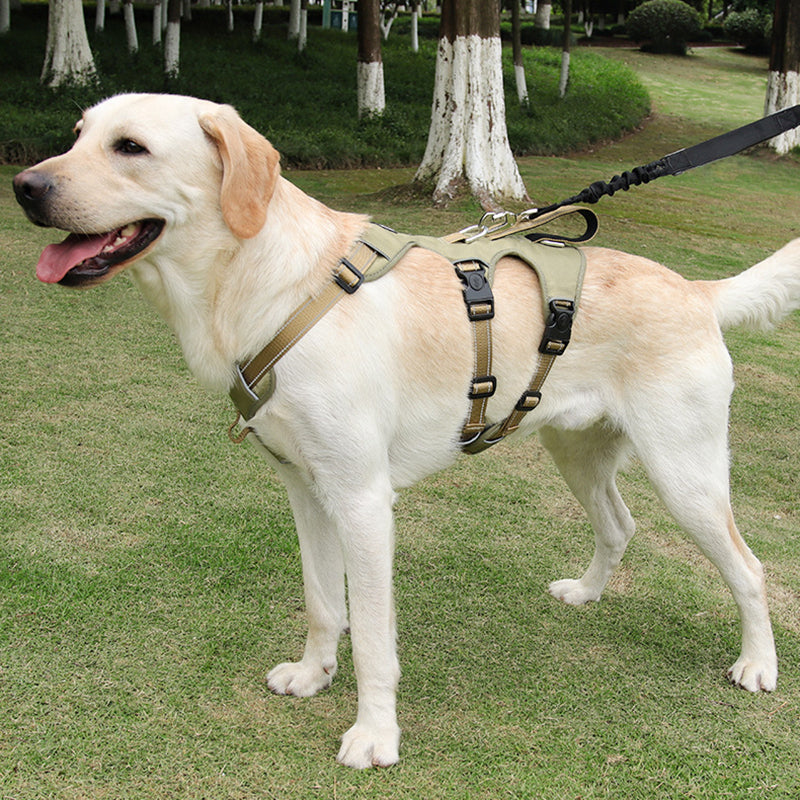 Reflekterande Anti-Dra Hundsele - GripGuard