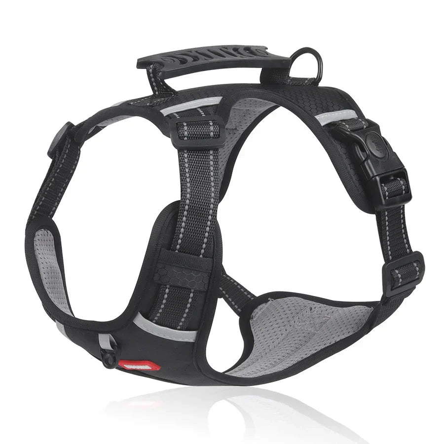 Robust & Bekväm Hundsele - ActivePup™