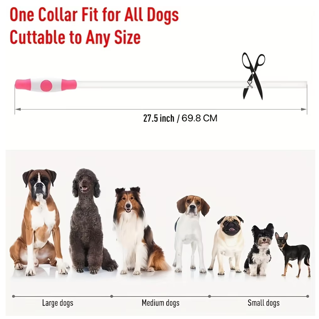 GlowSafe LED Hundhalsband – Uppladdningsbar USB Säkerhetslampa