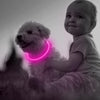 GlowSafe LED Hundhalsband – Uppladdningsbar USB Säkerhetslampa