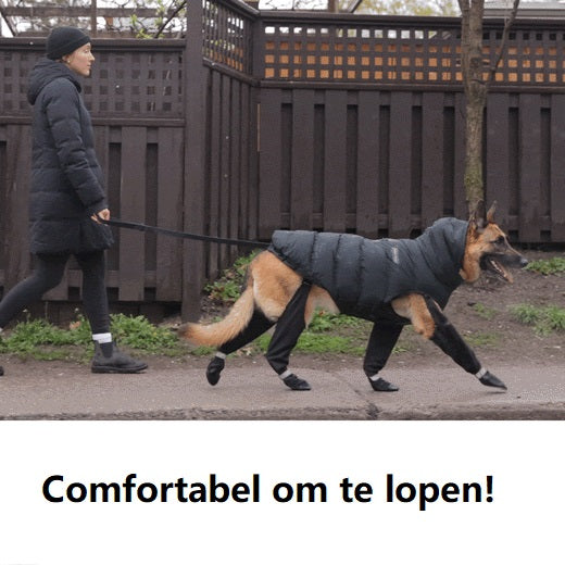 Kängor för Säkra Utomhusäventyr – PawShield