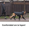 Kängor för Säkra Utomhusäventyr – PawShield
