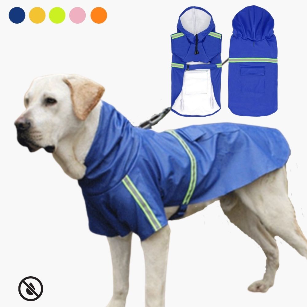 Hund Regnjacka - Höstmagisk RainGuard Pro