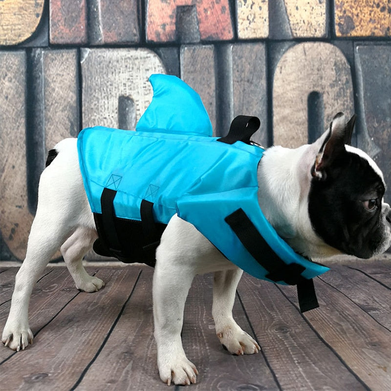 Hund Flytväst - AquaPup