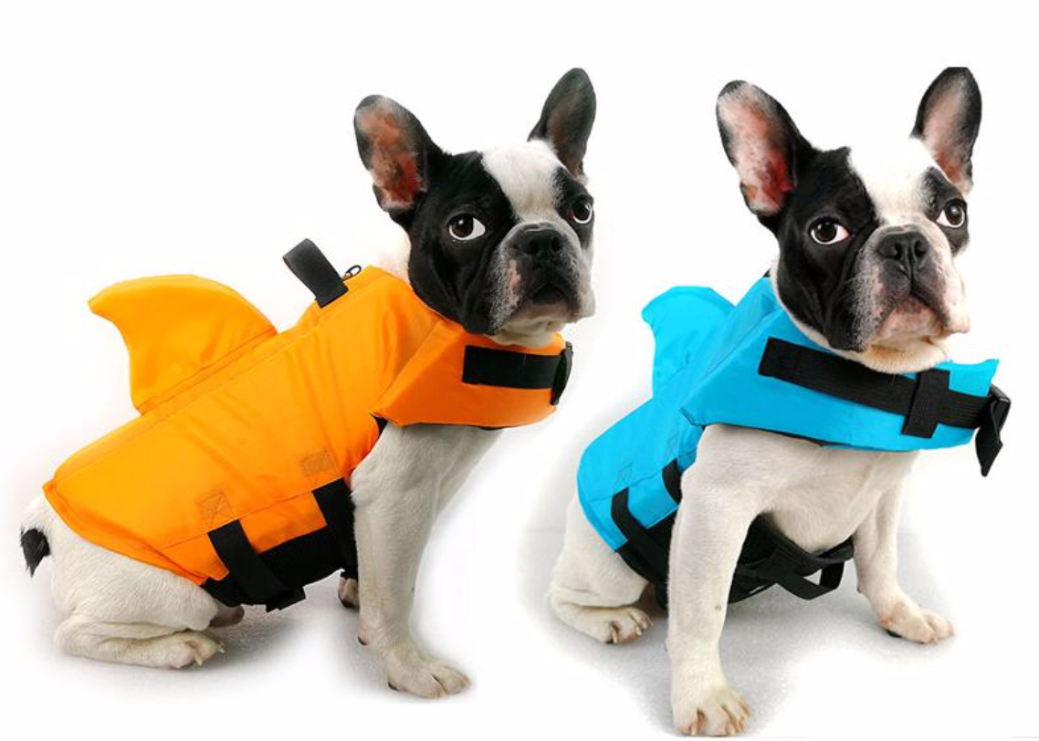 Hund Flytväst - AquaPup