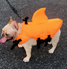 Hund Flytväst - AquaPup