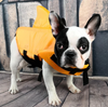 Hund Flytväst - AquaPup
