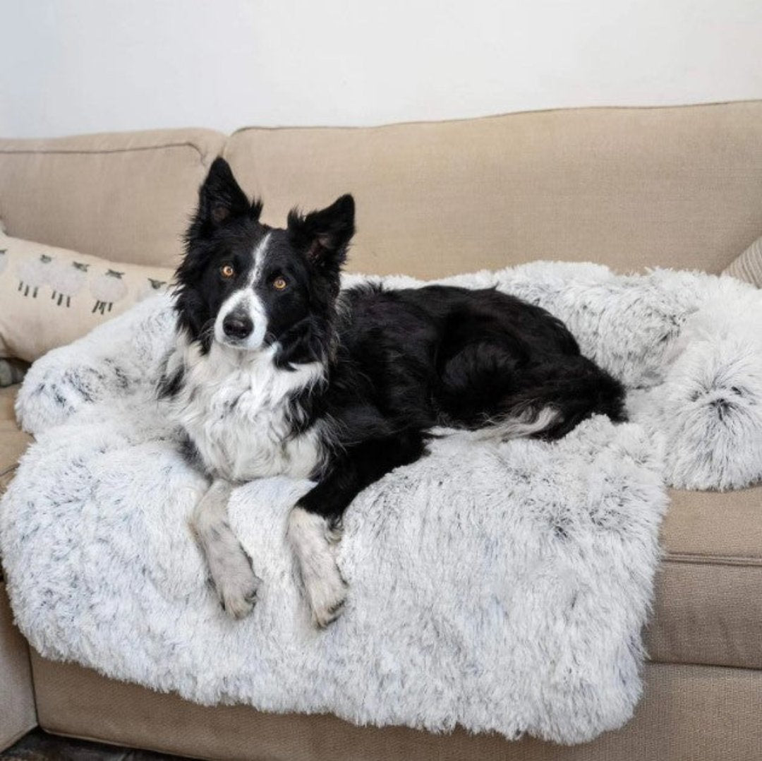 Vinterlyx Hundsoffa - PawLounge Snöflingeutgåvan