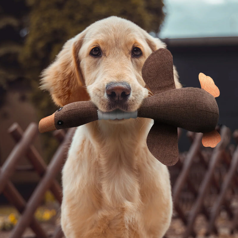 Indestructible Dog Toy (Köp 1 Få 1 Gratis) - ToughGoose