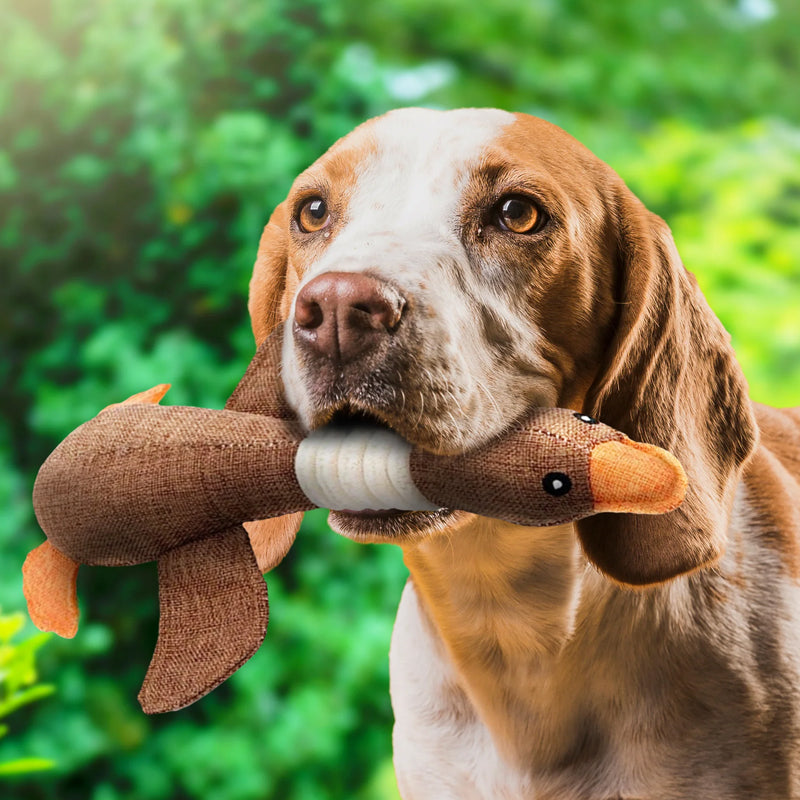 Indestructible Dog Toy (Köp 1 Få 1 Gratis) - ToughGoose