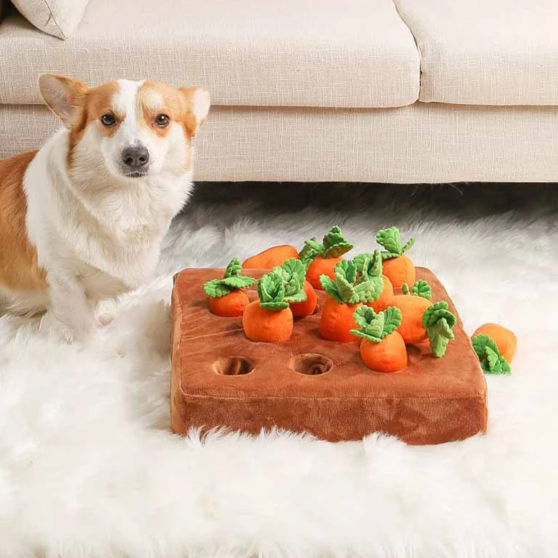 Interaktiv Snuffle Legetøj – Snuffle Garden Morötter