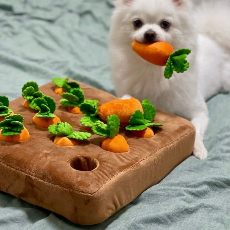 Interaktiv Snuffle Legetøj – Snuffle Garden Morötter
