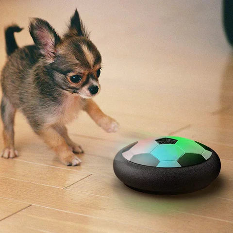 Interaktiv Hundfotbollsleksak – PlayBall Pro