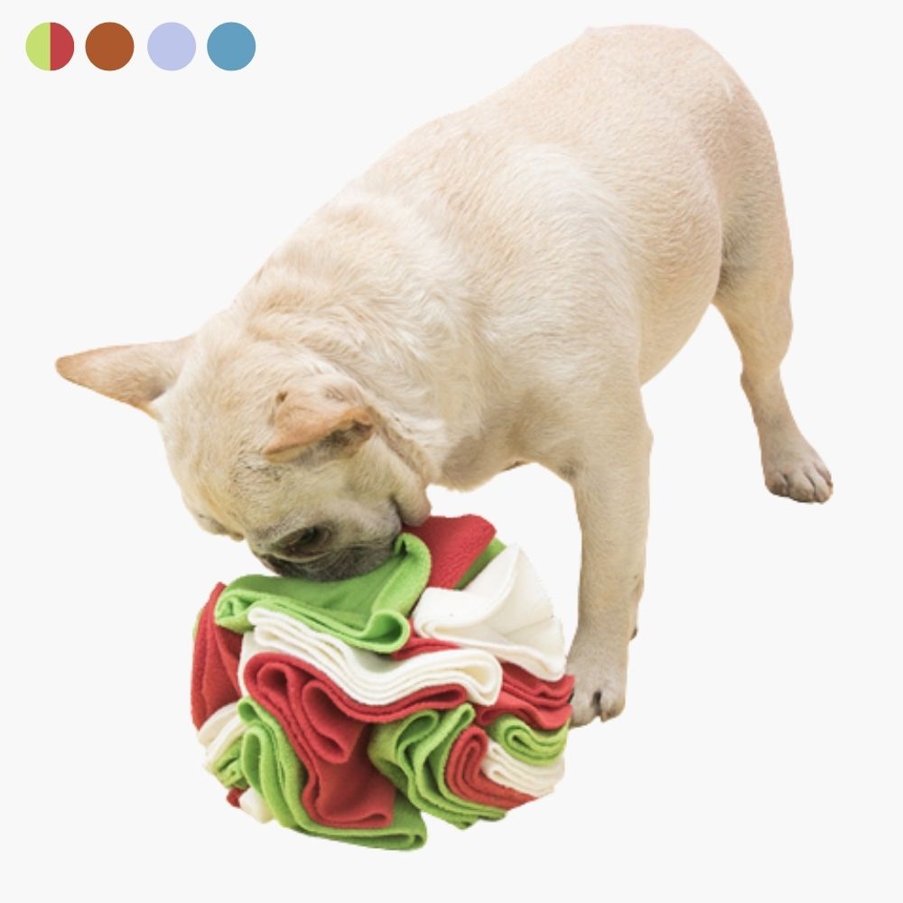 Snuffle Ball för Hundar - PawMaze