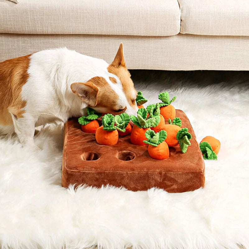 Interaktiv Snuffle Legetøj – Snuffle Garden Morötter