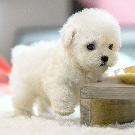Hundleksak - Livliknande Robot Hund Valp