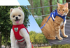 Kattsele med Linje - Säkerhet & Komfort för Äventyr