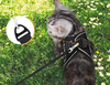 Kattsele med Linje - Säkerhet & Komfort för Äventyr