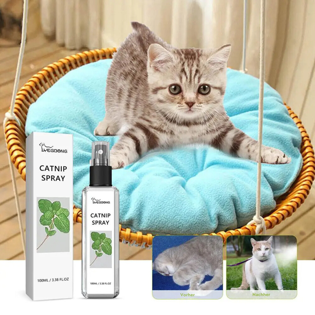 Lugnande Katt Spray - SilverVine Bliss Spray