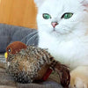Interaktiv Katt Legetøj - ChirpBird