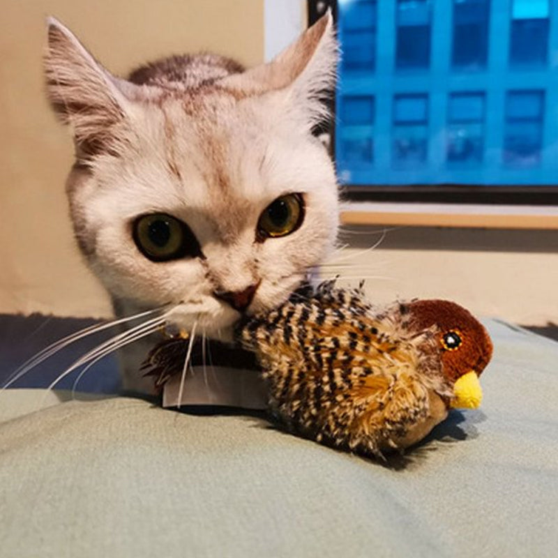 Interaktiv Katt Legetøj - ChirpBird