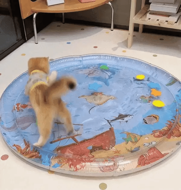 Interaktiv Katt Lekmatta – PurrPulse