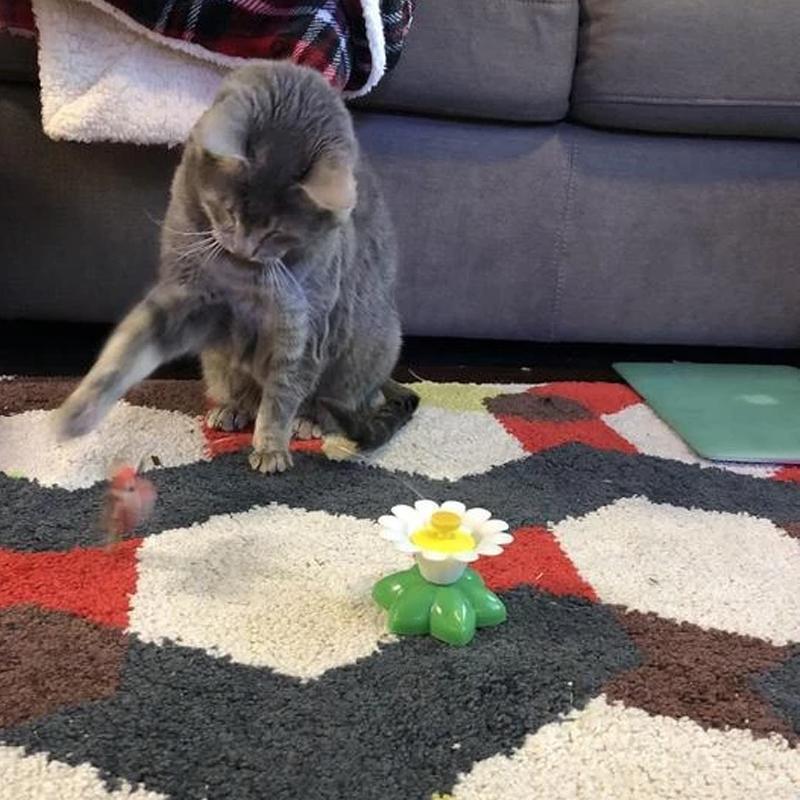 Storlekar Interaktiv Kattleksak – Purrfect Play