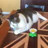 Storlekar Interaktiv Kattleksak – Purrfect Play