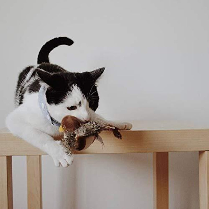 Interaktiv Katt Legetøj - ChirpBird
