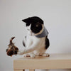 Interaktiv Katt Legetøj - ChirpBird