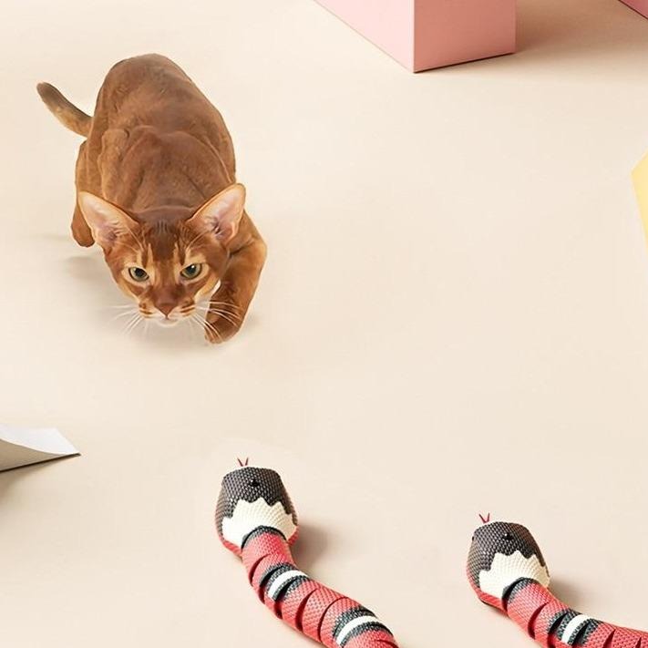Kattjakt Legetoy - SlitherPlay
