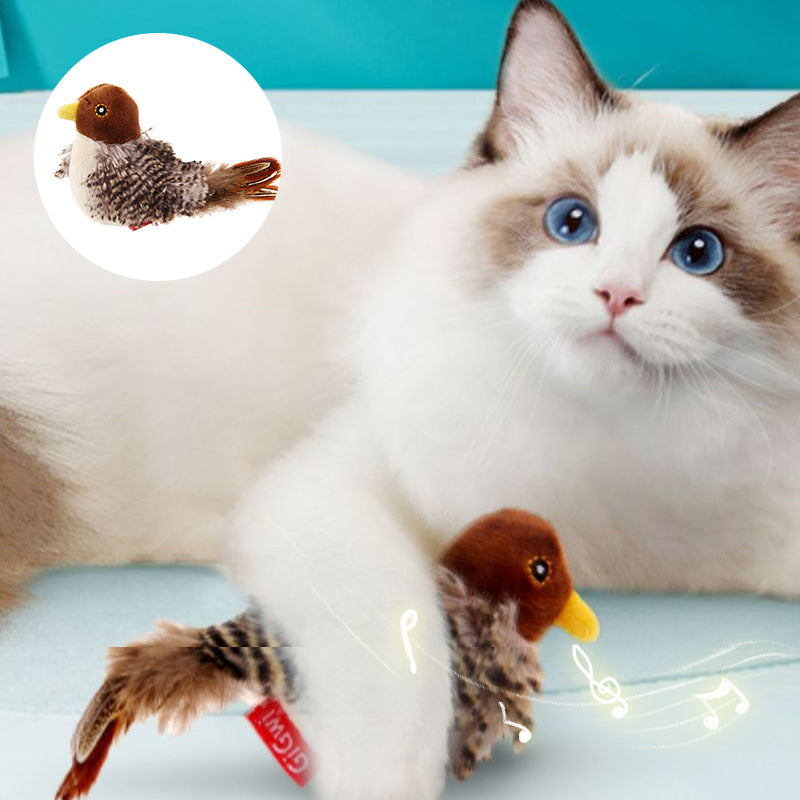 Interaktiv Katt Legetøj - ChirpBird