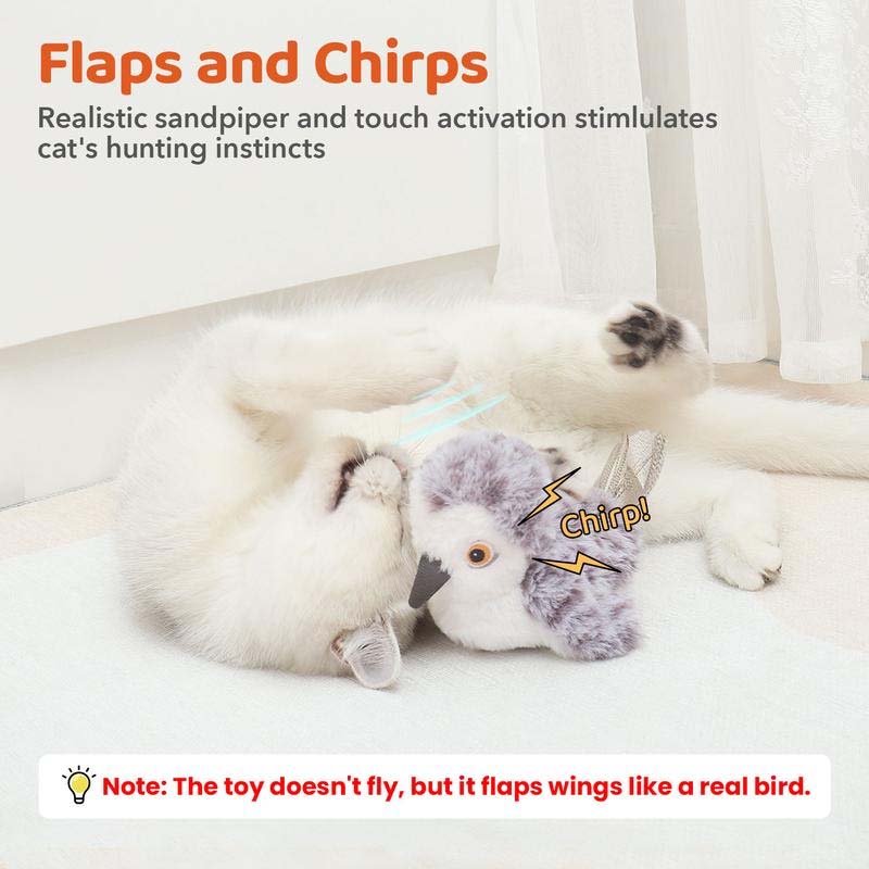 Interaktiv Katt Legetøj - ChirpBird