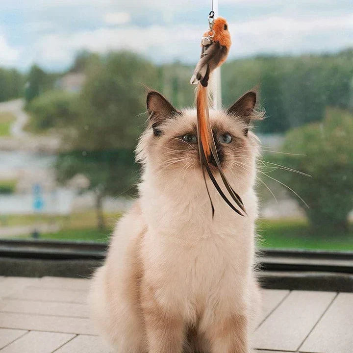 Interaktiv Kattleksak - FlutterFriend