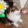 Storlekar Interaktiv Kattleksak – Purrfect Play