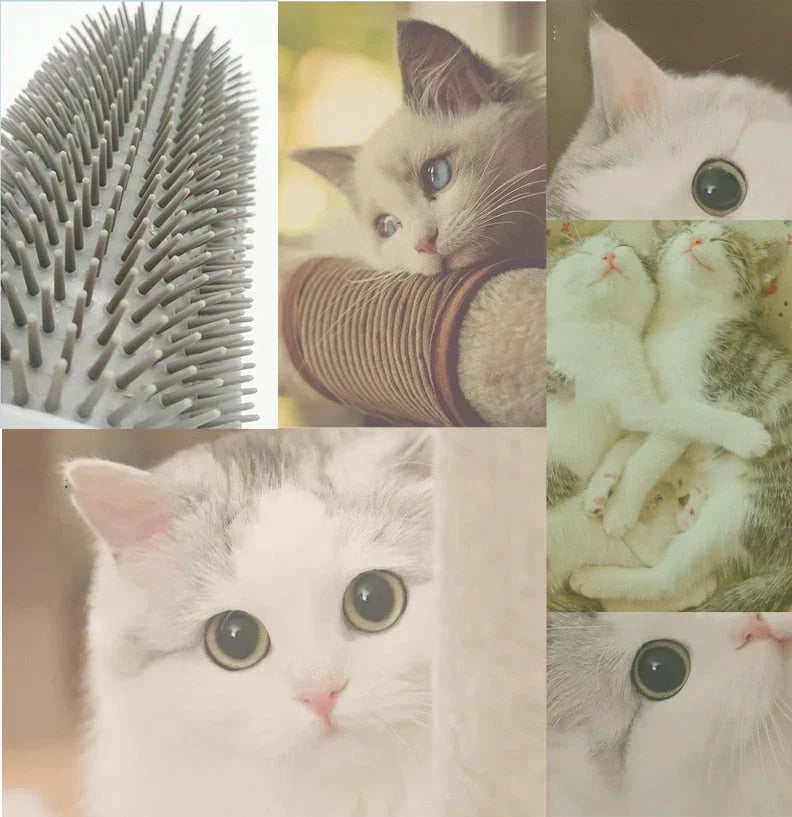 Kattens Hörnborste för Självborstning - PurrGroom