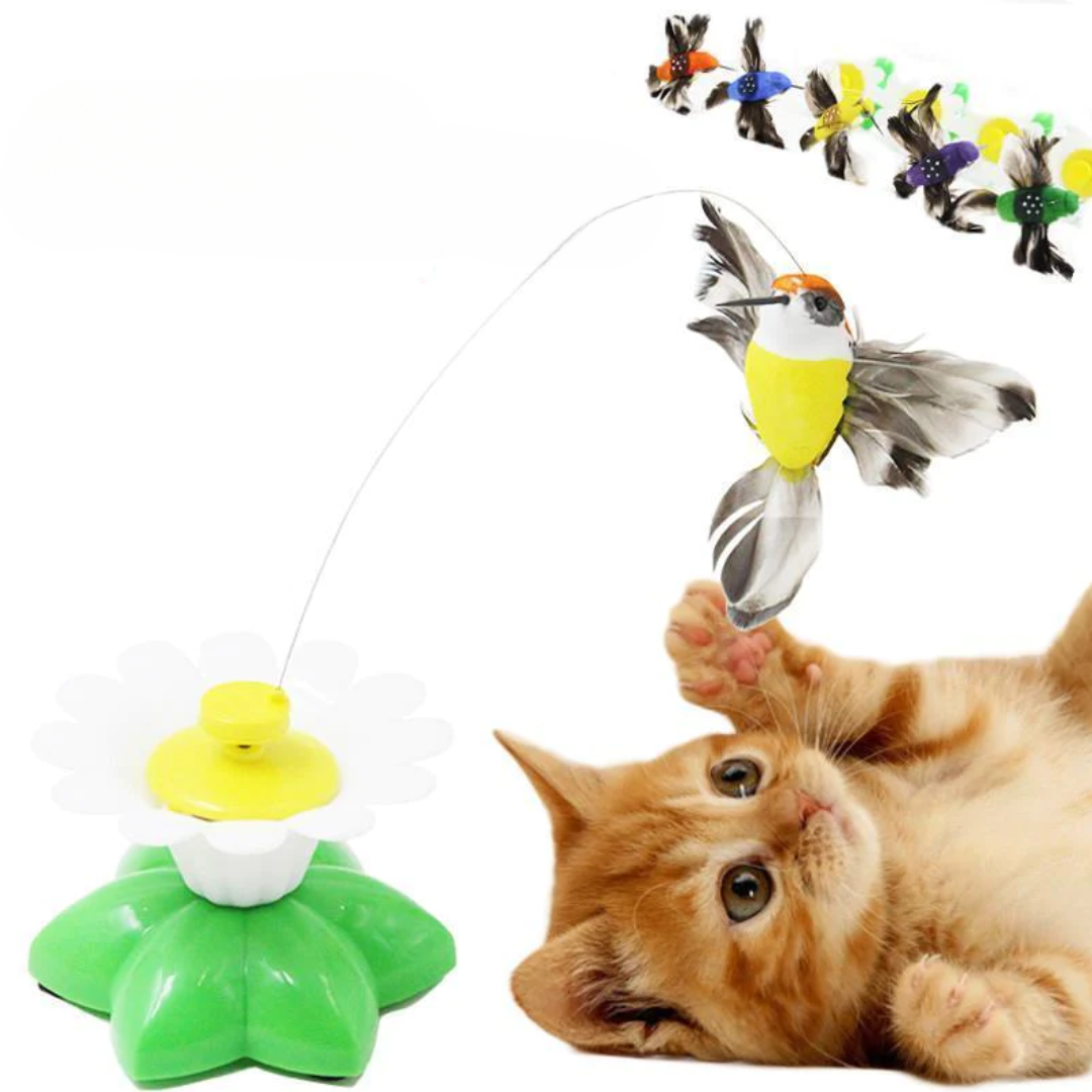 Storlekar Interaktiv Kattleksak – Purrfect Play