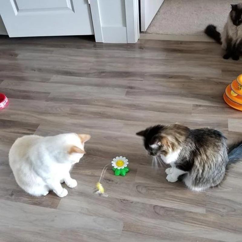 Storlekar Interaktiv Kattleksak – Purrfect Play