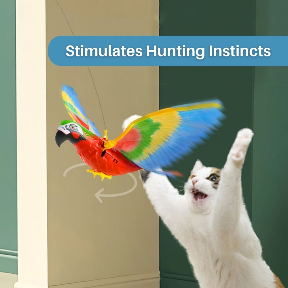 Interaktiv kattleksak för nöje och motion – FeatherFlight™