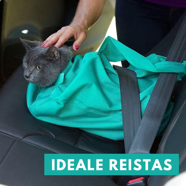 Kattresväska för Bekväm Resa (Köp 1 Få 1 Gratis) – PurrPorter