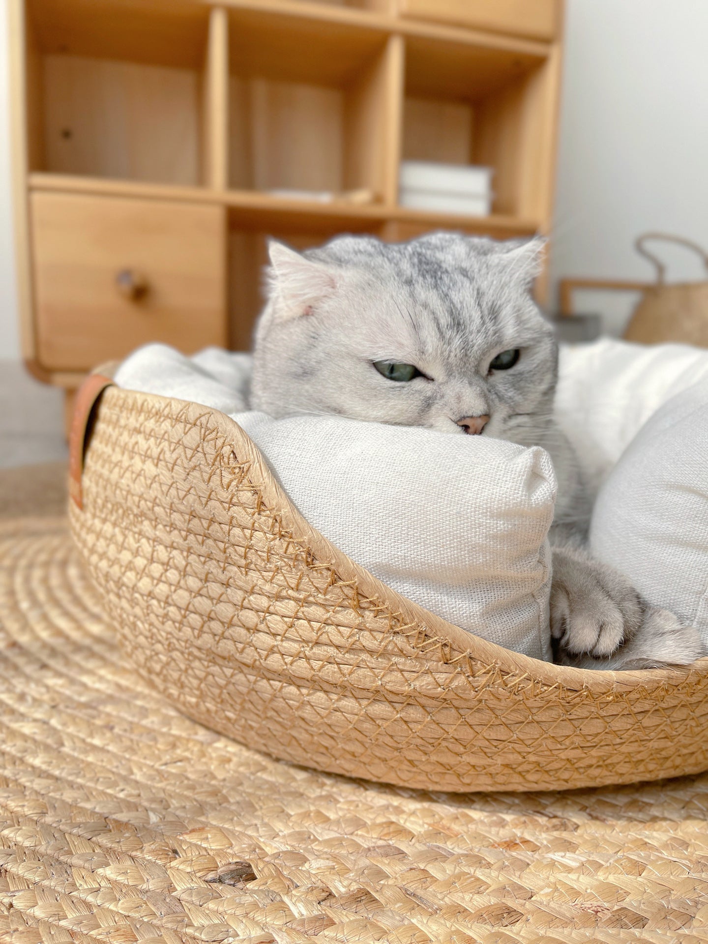 Handgjord, Bekväm Kattbädd – LuxeSnooze