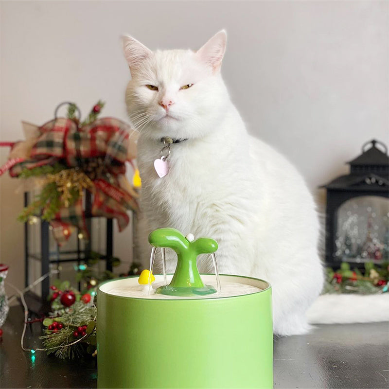 Kattfontän – SpringFlow™