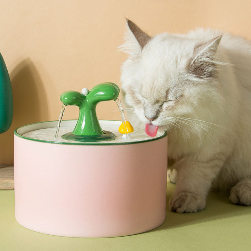 Kattfontän – SpringFlow™