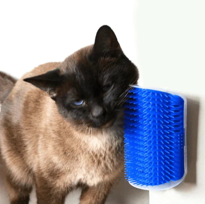 Kattens Hörnborste för Självborstning - PurrGroom