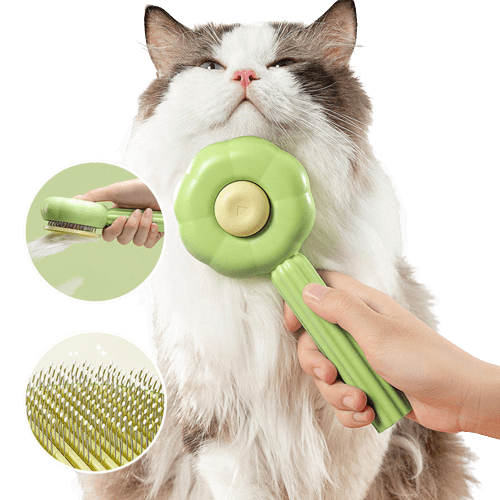 Självrengörande Kattborste - PurrfectBrush