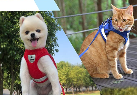 Kattsele med koppel - AdventureKit