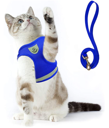 Kattsele med koppel - AdventureKit